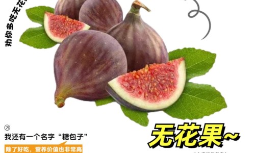 不是哺乳期能催奶吗-权威不是哺乳期能吸出奶水吗平台,分享专业不是哺乳期能吸出奶水吗知识_不是哺乳期能吸奶网